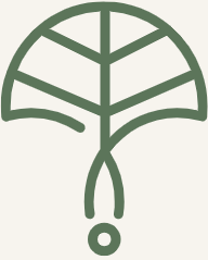 Kodevelop Logo